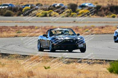 media/Nov-16-2024-Extreme Speed (Sat) [[6587d07cc4]]/Gold Group/Session 2 (Turns 3 and 5)/